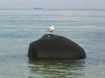 November 2013 in Warnemünde